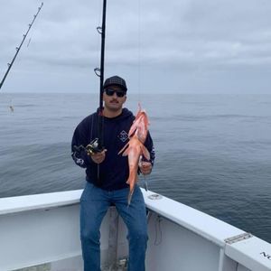 Meet your Posher, Ray